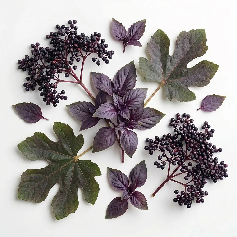 Ashleigh & Burwood Diffuser Elderberry & Purple Basil 150ml